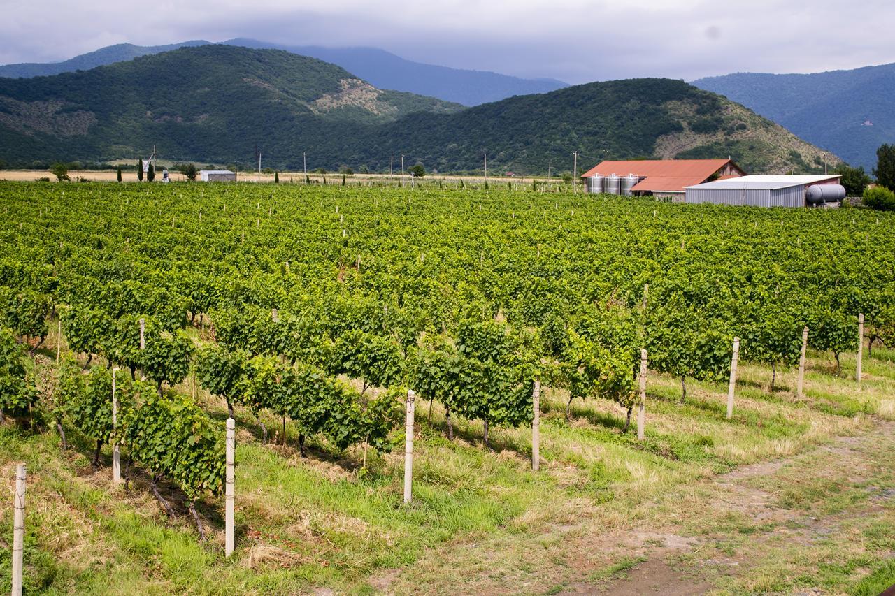 Shaloshvili'S Cellar Hotel Shilda Εξωτερικό φωτογραφία