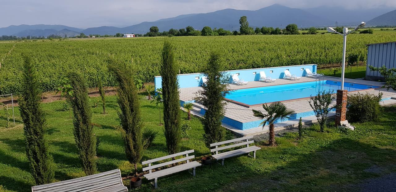 Shaloshvili'S Cellar Hotel Shilda Εξωτερικό φωτογραφία